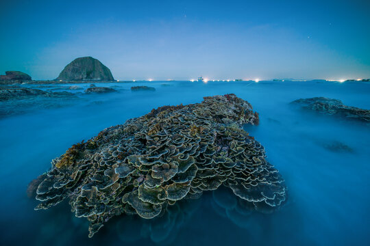 Dry coral reef in shallow