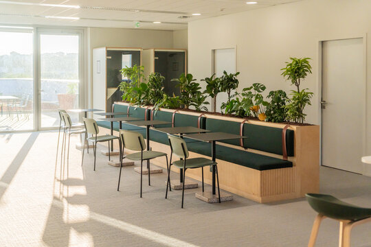 Bright Modern Office Space With Greenery