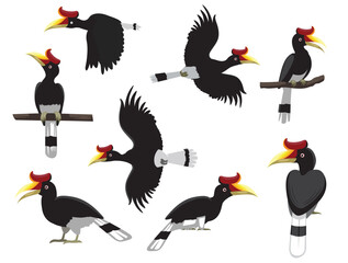 Bird Rhinoceros Hornbill Exotic Various Poses Cartoon Vector Character © bullet_chained