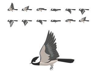 Bird Chickadee Flying Animation Sequence Cartoon Vector © bullet_chained
