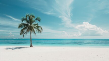 A lone palm tree stands tall on a pristine white sand beach with crystal clear blue water.