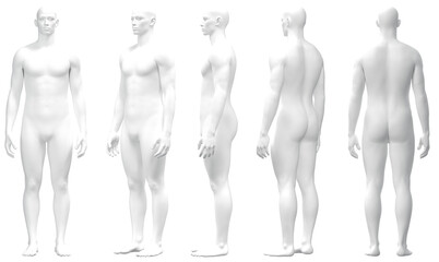 Male 3D Model in Various Poses, Male Body Mannequin
