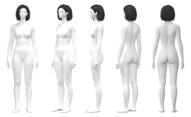 Female 3D Model in Various Poses, Female Body Mannequin