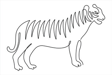 Tiger continuous one single line drawing of style. tiger wild animal contour outline vector illustration.
