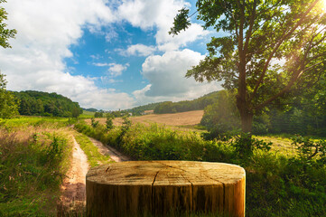 Tree trunk wood Podium as a table display for food and other products on nature background, farm with grass and Sunlight at morning	
