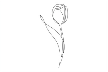  Continuous one single line drawing beauty tulip flower vector. Minimal tropical floral style, love romantic concept.
