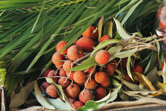 Fresh Lychee at a Market in Hawaii