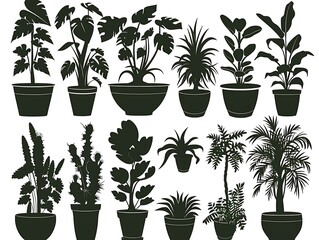 Fototapeta premium Set of houseplants in pots. Vector illustration isolated on white background.