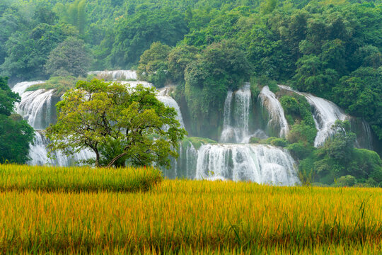 Ban Gioc waterfall