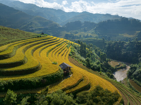 Terraced rice fields