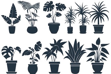 Fototapeta premium Set of houseplants in pots. Vector illustration isolated on white background.