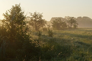 landscape in morning