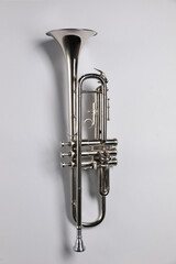 One trumpet on light background, top view