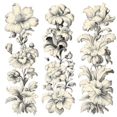 Botanical Illustrations, Rococo Floral Designs