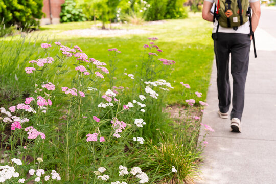 Anonymous student walking to class