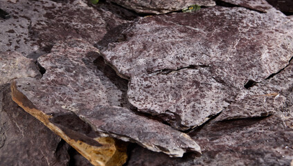 High-Resolution Close-Up of Textured Wet Rocks with Natural Patterns