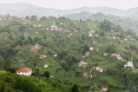 Scenic View of Karadeniz Village and Tea Fields
