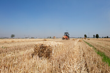 Obraz premium Wheat straw is mechanically baled into bales in a wheat field after harvest