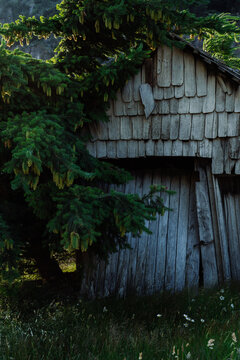 Old shed with wood shakes