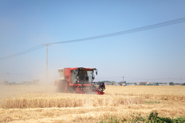 Harvester harvesting wheat in a wheat field