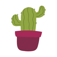 cactus in a pot