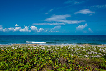Rocky beach in Akumal