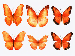 orange watercolor aquarelle butterfly set