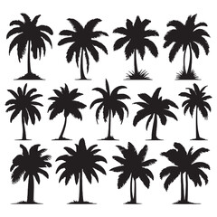 set of palm trees silhouettes on white	