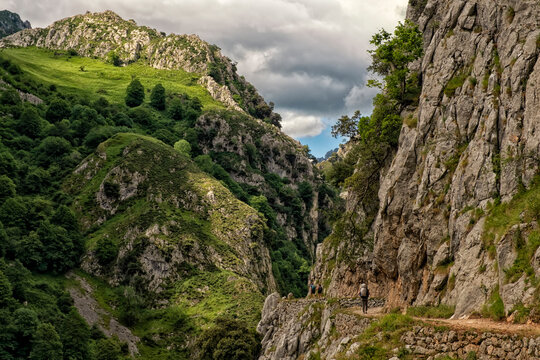 The Cares Trail