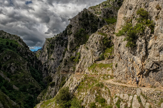 The Cares Trail