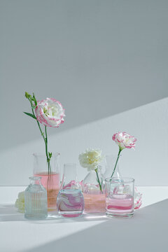 Different beautiful spring flowers in glassware on white with sunlight