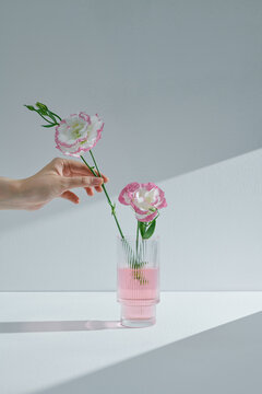 Beautiful blooming Lisianthus in glass vases on table