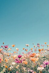 flowers in the sky