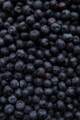 Background of fresh blueberries, top view, close-up.