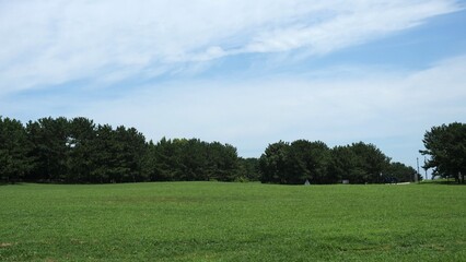 芝生が敷き詰められた広場の風景