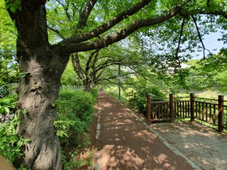 대전 화폐 박물관 가는 길