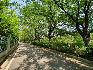 대전 화폐 박물관 가는 길