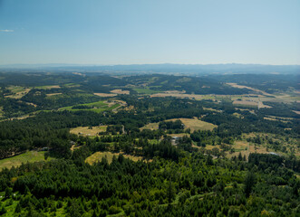 Obraz premium A beautiful, lush green forest with a clear blue sky in the background