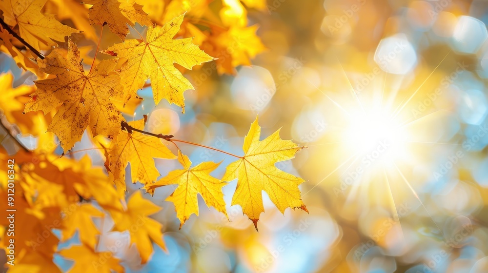 Wall mural golden autumn leaves with sunlight shining through in a bright blue sky