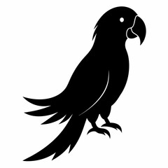 green parrot on a branch isolated on white, green parrot vector illustration, bird vector art, green parrot silhouette, cartoon parrot vector icon, eps