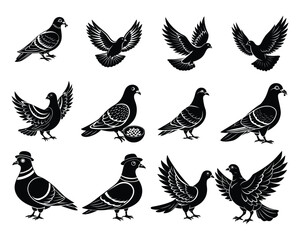 pigeon or dove silhouette set

