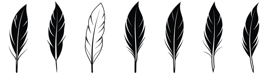 Black fluffy feather. Hand drawing vintage art realistic quill feathers for pen detailed isolated vector elegant silhouette sketch bird plume set