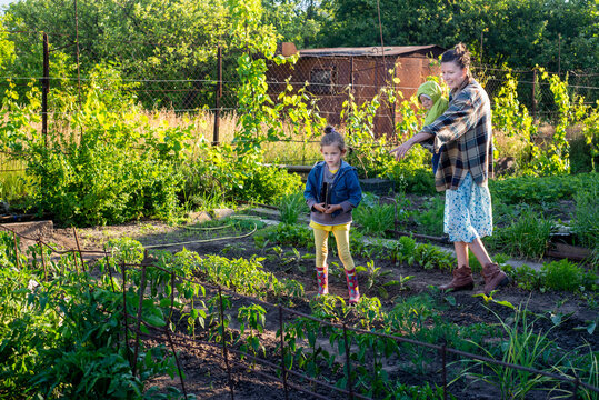 Mother with two children looking at garden beds with plants 