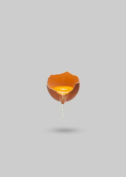 Flying Brown Egg