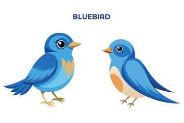 Beautiful Bluebird on white background vector illustration 