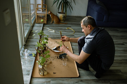Father and daughter plant grape seedlings in plastic bottles