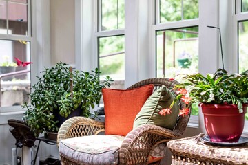sunroom chair with plants