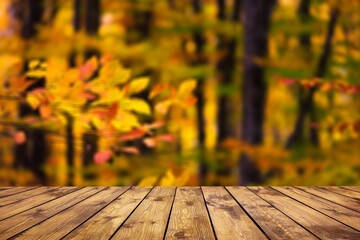 Empty wood desk top and autumn tree