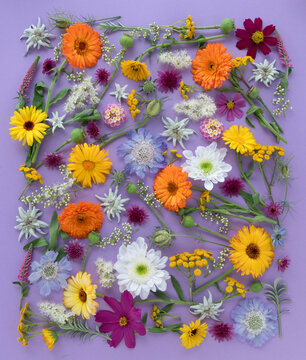 Purple floral composition