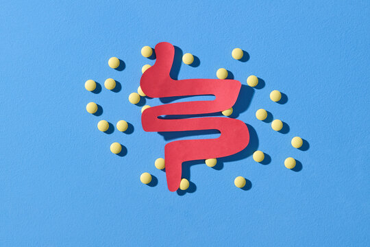 Abstract Intestine Shape with Yellow Pills on Blue Background